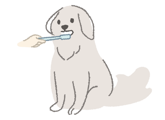 お口のケアは健康の源！