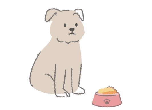 「フードの“中身”気にしていますか？」―愛犬の健康は毎日のごはんから―