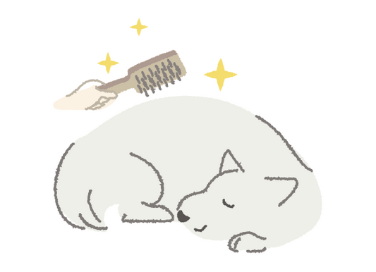 とても簡単！おうちでブラッシング