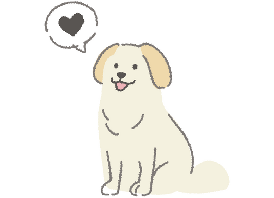 LiGARおすすめ　ビィ・ナチュラル「ルート」のご紹介