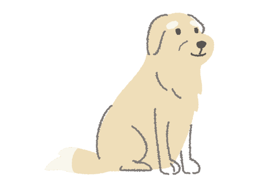 日頃のケアで差が出る！シニアケア