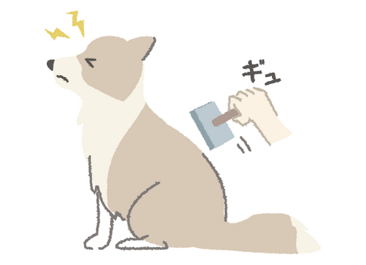 正しく使ってほしい★スリッカーブラシ