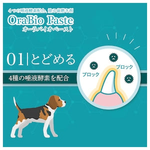 オーラバイオペーストPRO