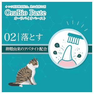 オーラバイオペーストPRO
